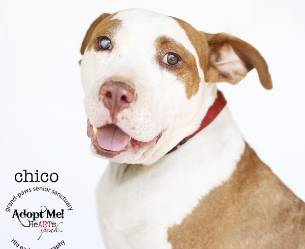 Chico