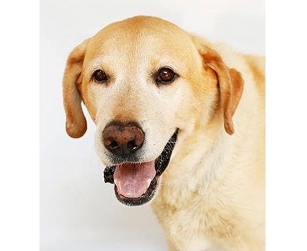 Jake