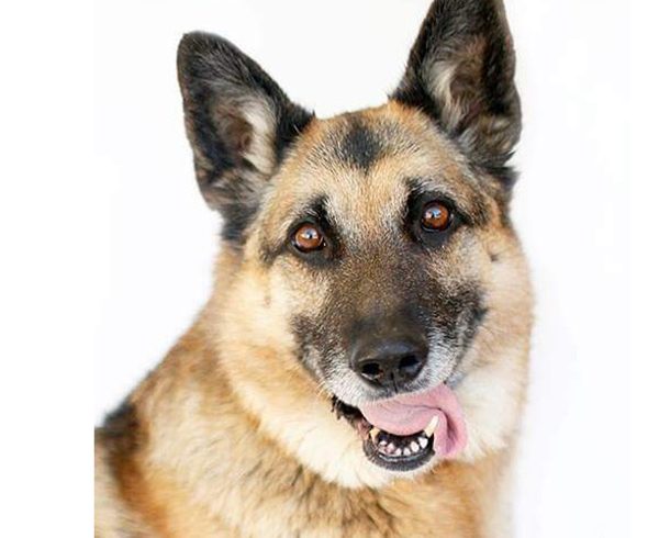 Kaiser Kaiser
