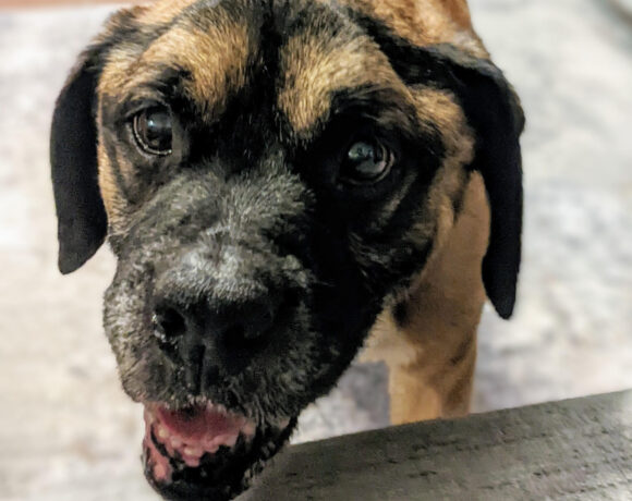 MILTON “Mr Goodbar”