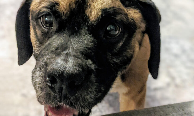 MILTON “Mr Goodbar”