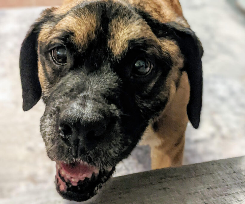 MILTON “Mr Goodbar”