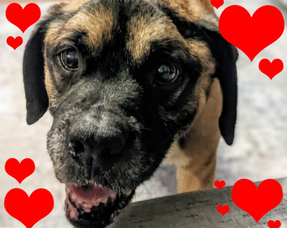 MILTON “Mr Goodbar”