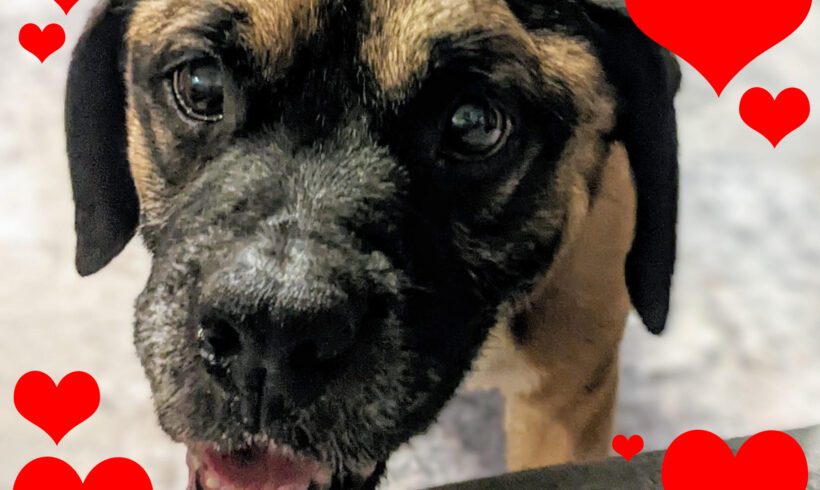 MILTON “Mr Goodbar”