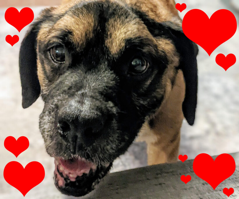 MILTON “Mr Goodbar”